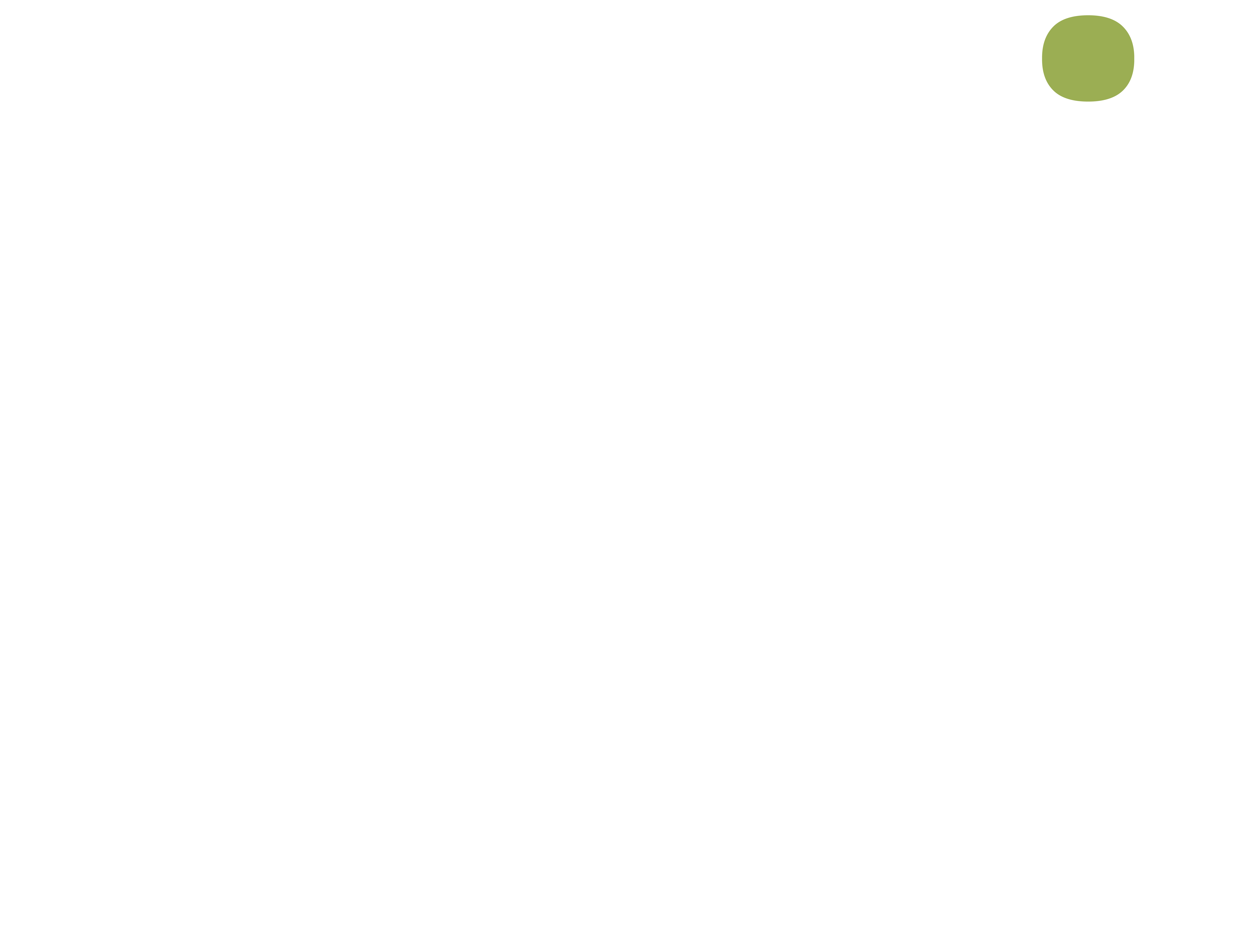 Oppikka Logo