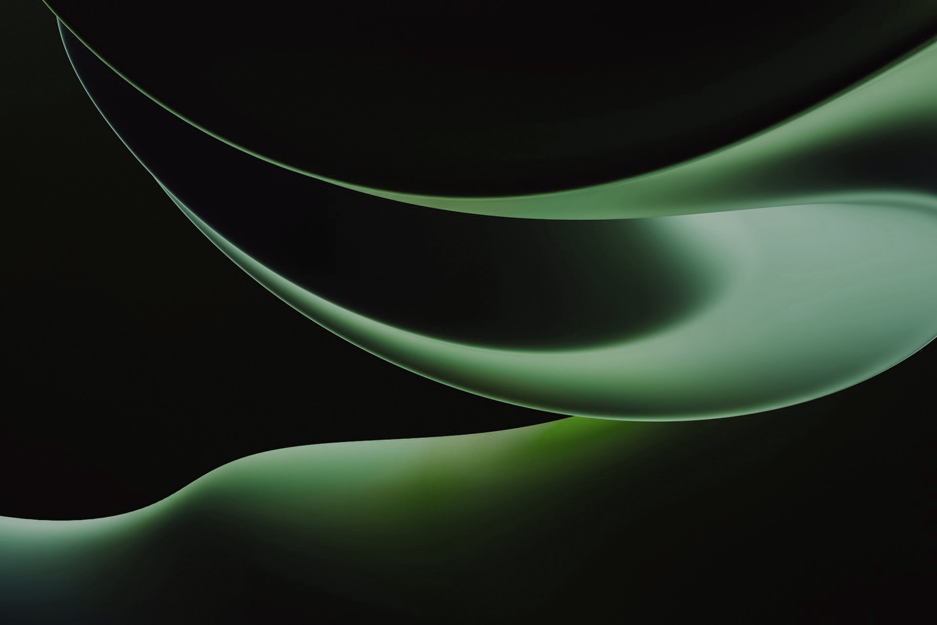 Branding Services abstract graphic